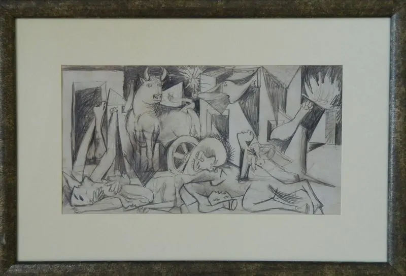 pic1