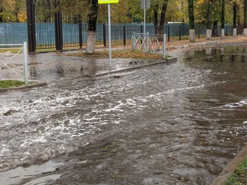 море