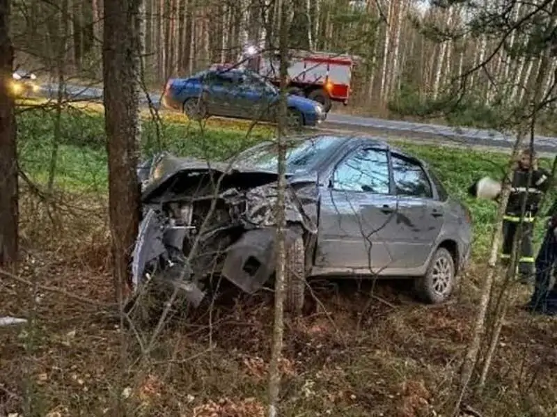 В Навлинском районе иномарка вылетела в кювет и протаранила дерево