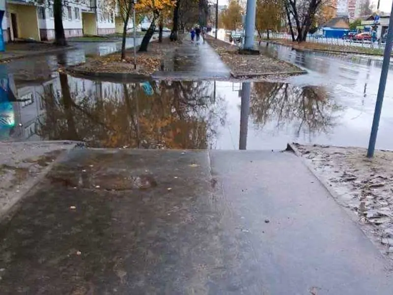 лужи