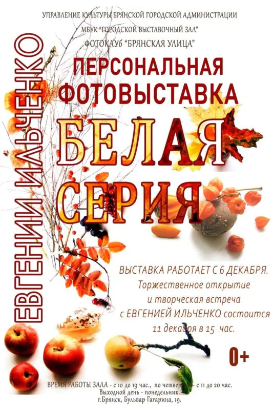 Евгения Ильченко представит брянцам персональную выставку «Белая серия»
